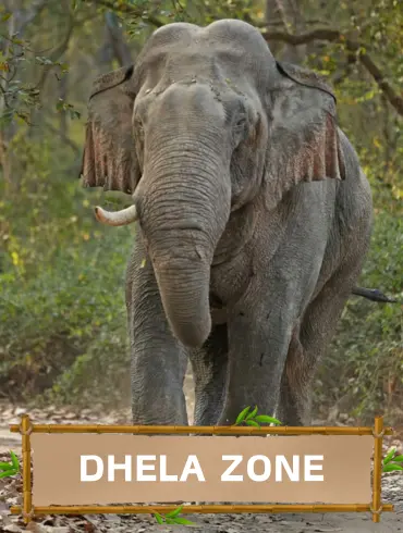 Dhela_zone