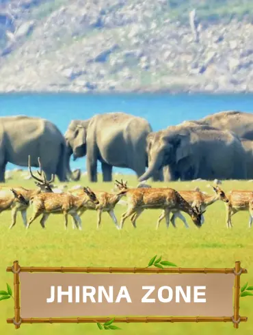 Jhirna_zone