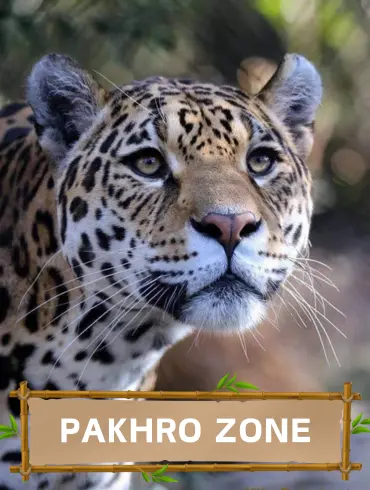 Pakhro_zone