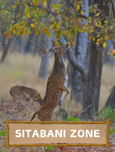 Sitabani_zone